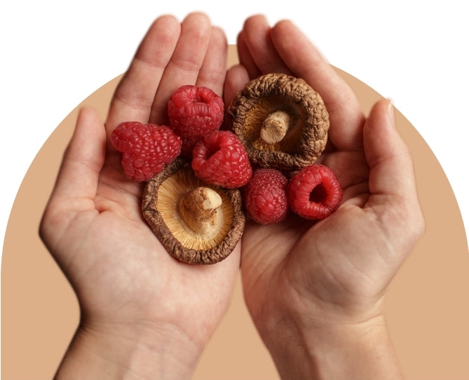 //urthnaturals.com/cdn/shopifycloud/storefront/assets/no-image-2048-a2addb12.gif
