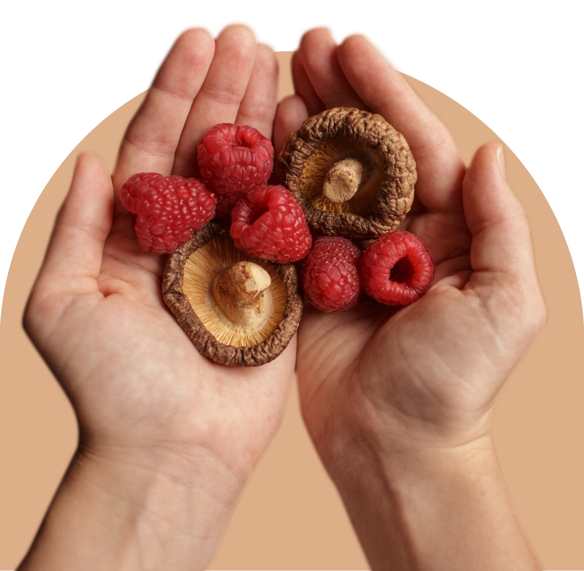 //urthnaturals.com/cdn/shopifycloud/storefront/assets/no-image-2048-a2addb12.gif