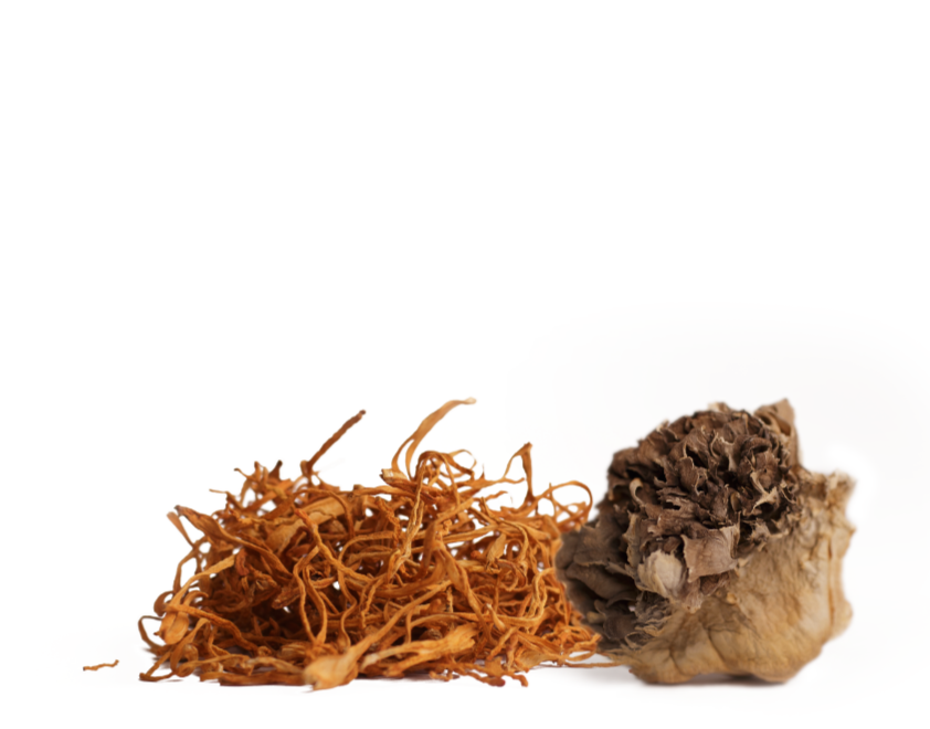 //urthnaturals.com/cdn/shopifycloud/storefront/assets/no-image-2048-a2addb12.gif