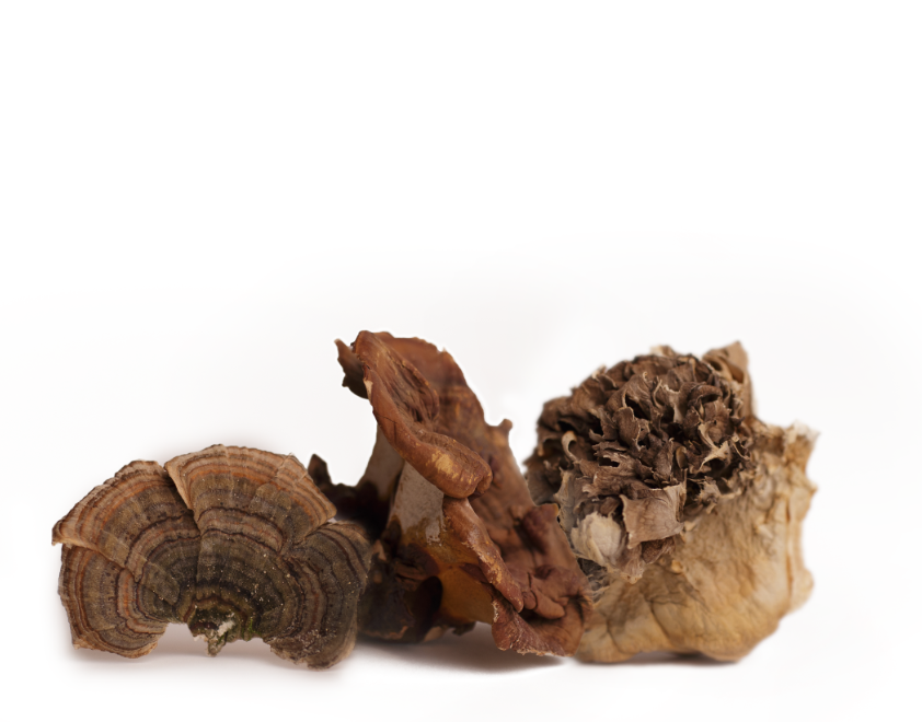 //urthnaturals.com/cdn/shopifycloud/storefront/assets/no-image-2048-a2addb12.gif