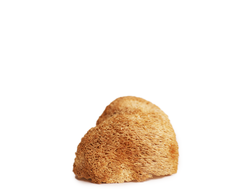 //urthnaturals.com/cdn/shopifycloud/storefront/assets/no-image-2048-a2addb12.gif
