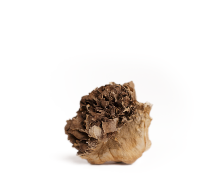 //urthnaturals.com/cdn/shopifycloud/storefront/assets/no-image-2048-a2addb12.gif