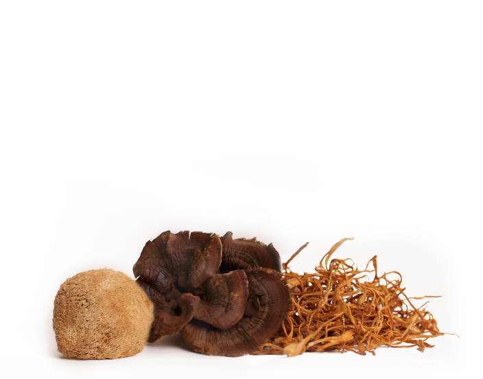 //urthnaturals.com/cdn/shopifycloud/storefront/assets/no-image-2048-a2addb12.gif